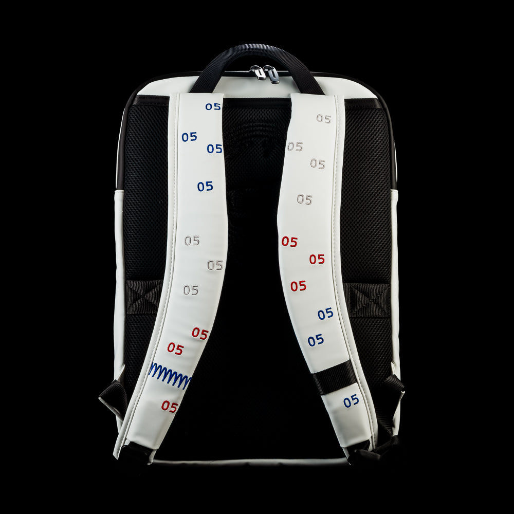 Back view of the RWB Gigantic Lincoln Backpack featuring padded adjustable shoulder straps, breathable back panel, and hanging loop.