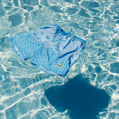 Stingray Lime Skull Swim Trunks